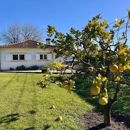 Tatil Evi T3 Cozy Old House With Xl Garden *