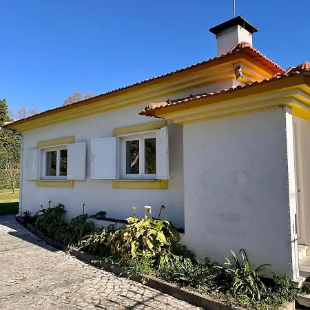 T3 Cozy Old House With Xl Garden * Borralha