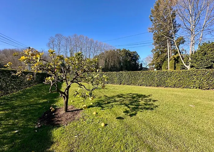 Tatil Evi T3 Cozy Old House With Xl Garden