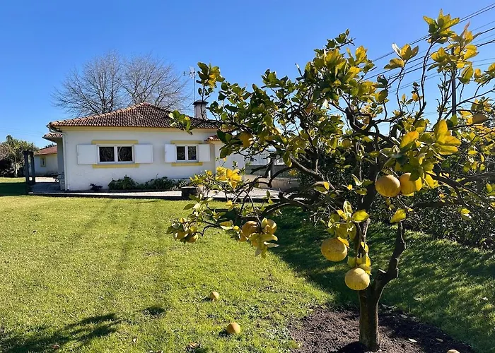 Tatil Evi T3 Cozy Old House With Xl Garden *