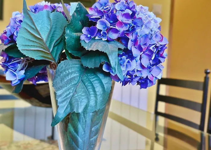 T3 Cozy Old House With Xl Garden Ferienhaus Borralha