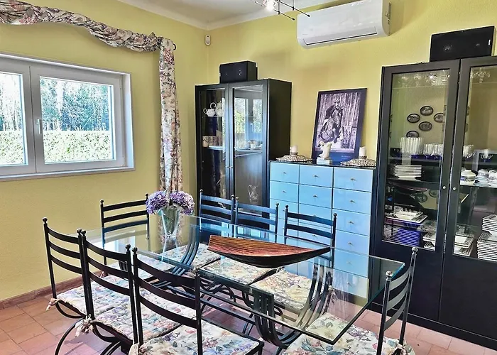 Tatil Evi T3 Cozy Old House With Xl Garden Borralha